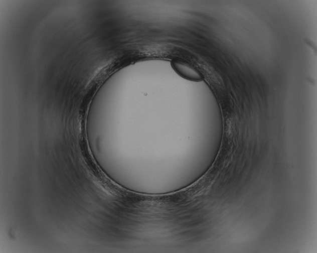 X0000093170733200709261055