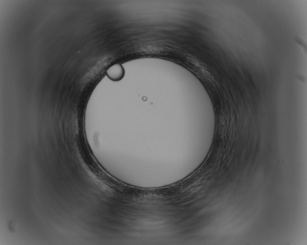 X0000093170734200709261055