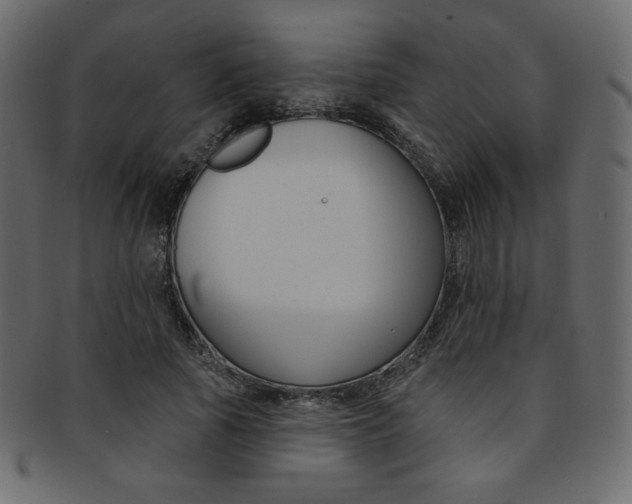 X0000093170737200709261055