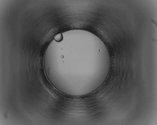 X0000093170738200709261055