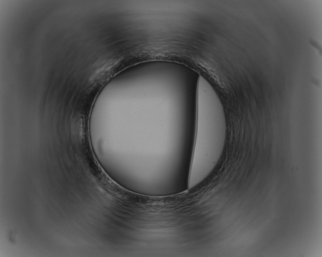 X0000093170740200709261055