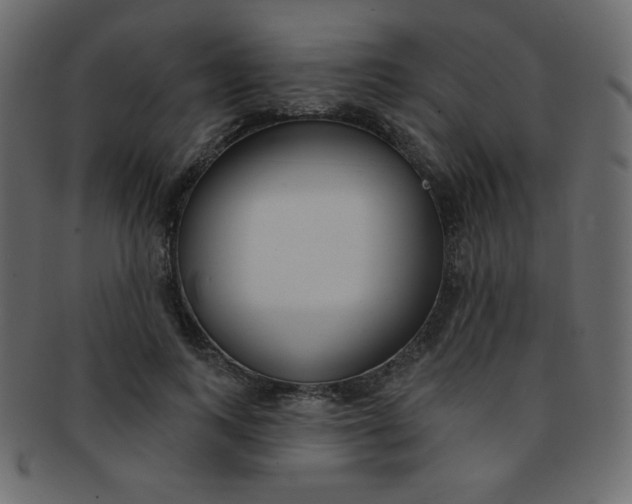 X0000093170743200709261055