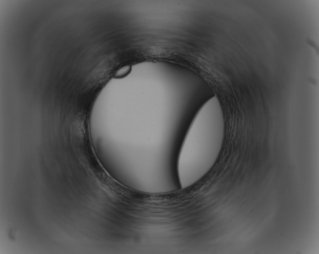 X0000093170746200709261055