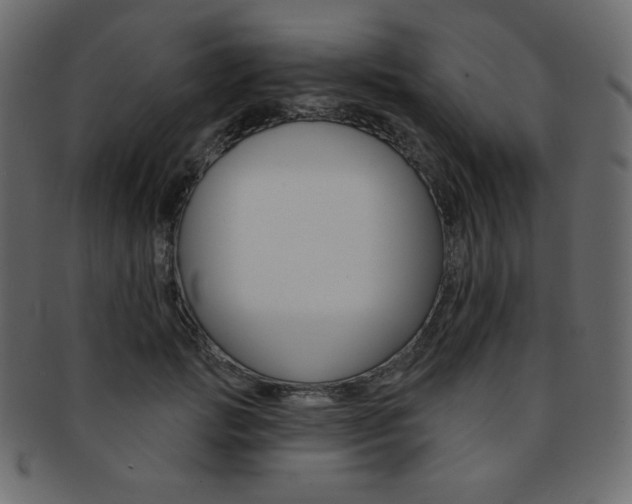 X0000093170749200709261055