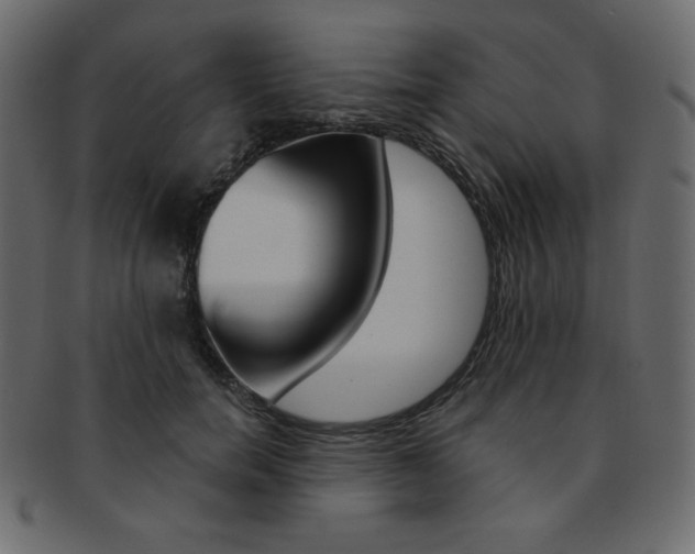 X0000093170750200709261055
