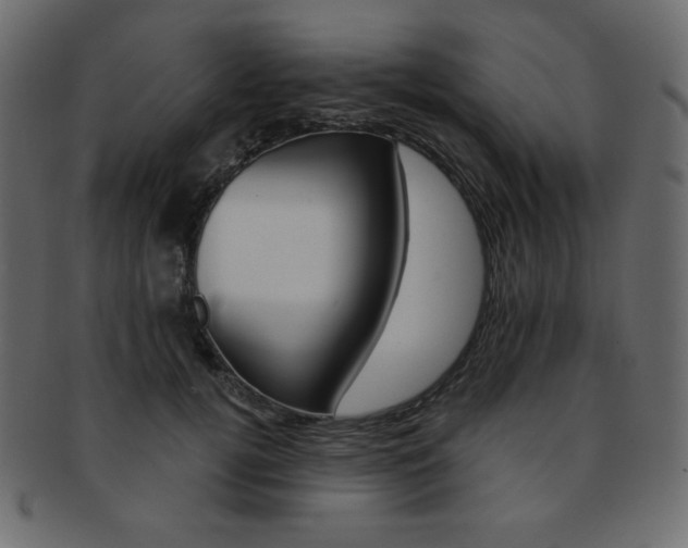 X0000093170752200709261055
