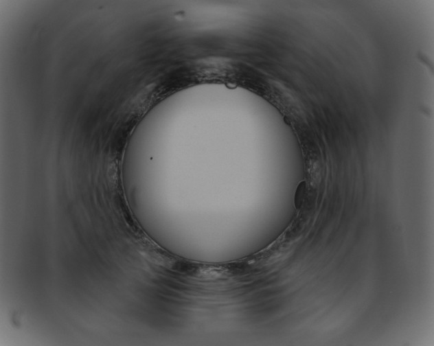 X0000093170753200709261055