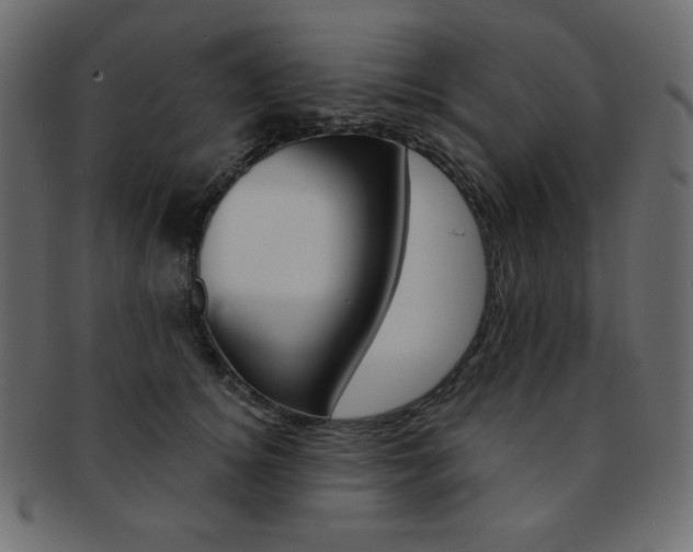 X0000093170756200709261055