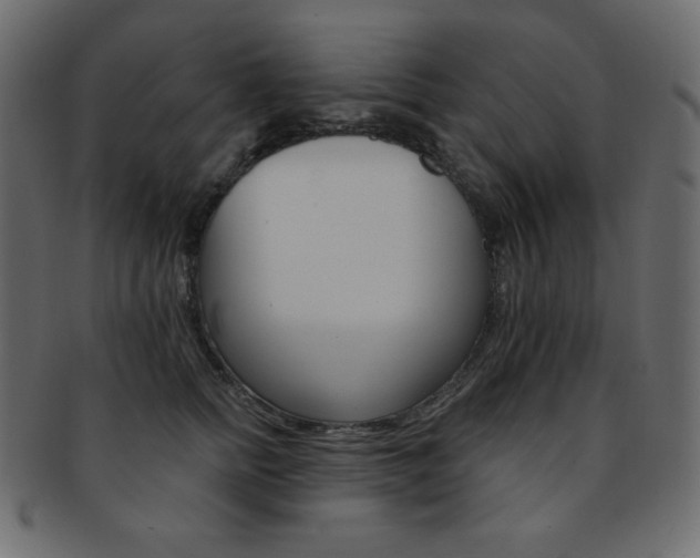 X0000093170758200709261055