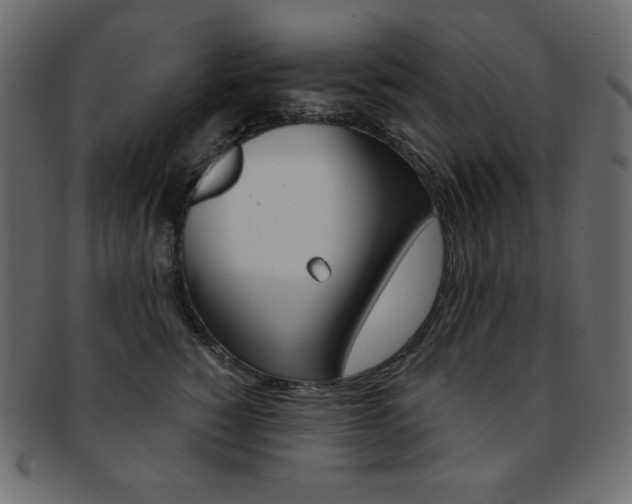 X0000093170760200709261055