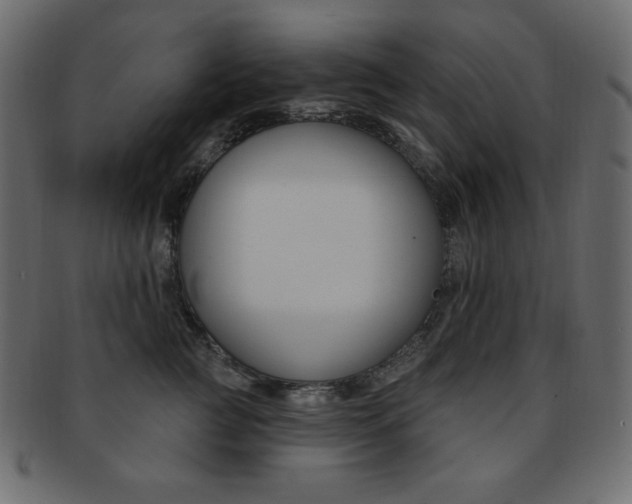 X0000093170761200709261055