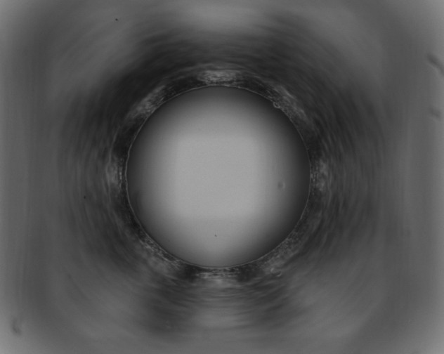 X0000093170763200709261055