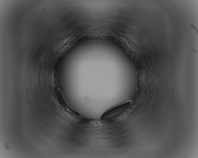 X0000093170764200709261055