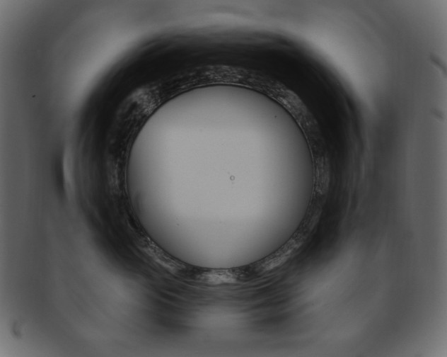 X0000093170765200709261055