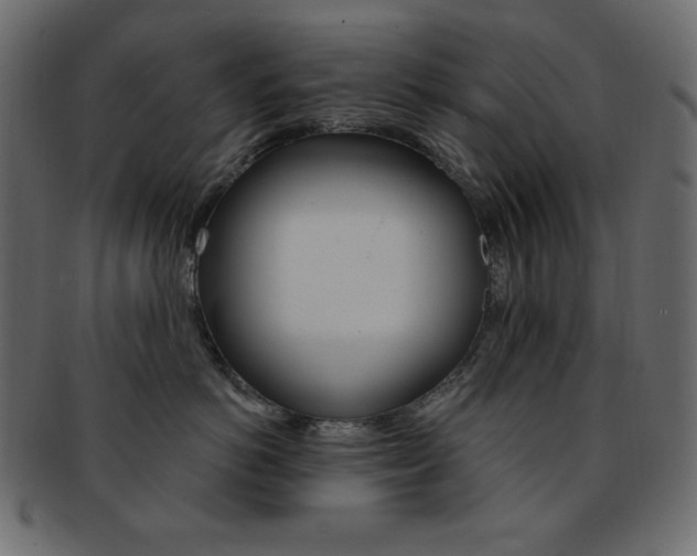 X0000093170766200709261055