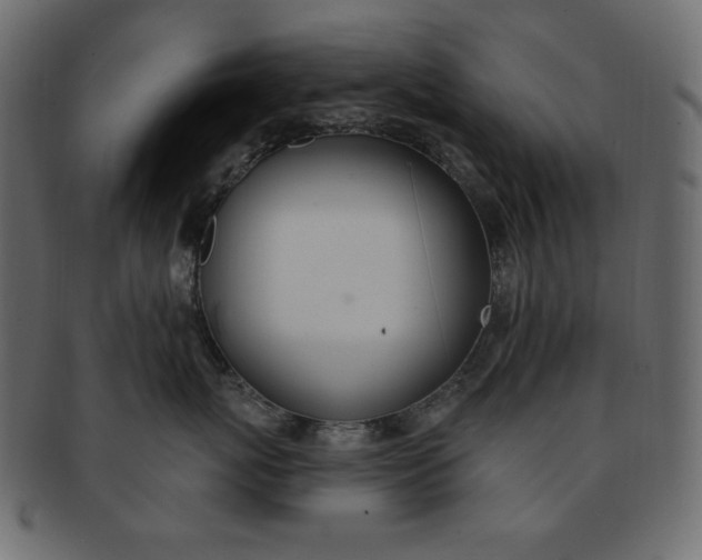 X0000093170767200709261055