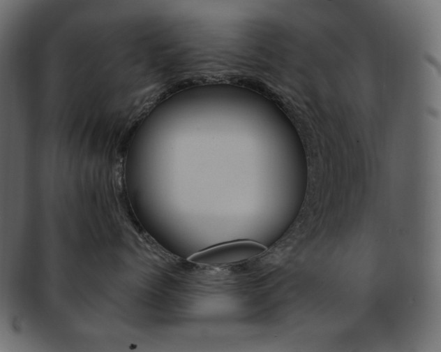X0000093170768200709261055