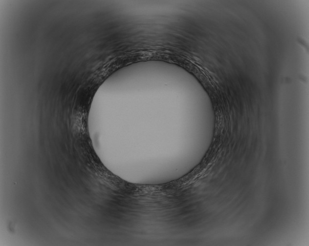 X0000093170770200709261055