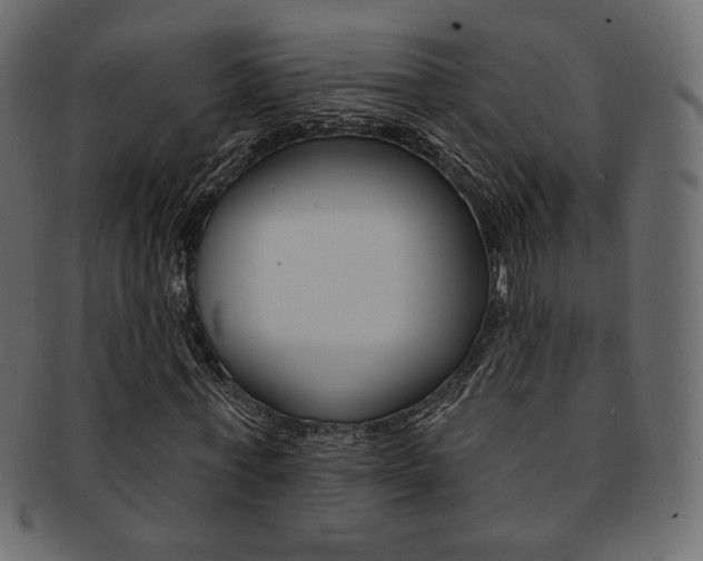 X0000093170771200709261055