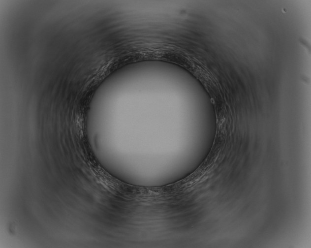 X0000093170772200709261055