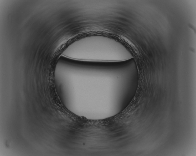 X0000093170775200709261055