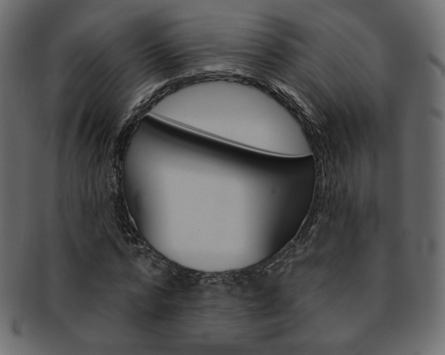 X0000093170776200709261055