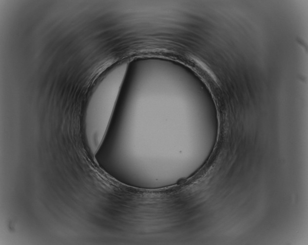 X0000093170777200709261055