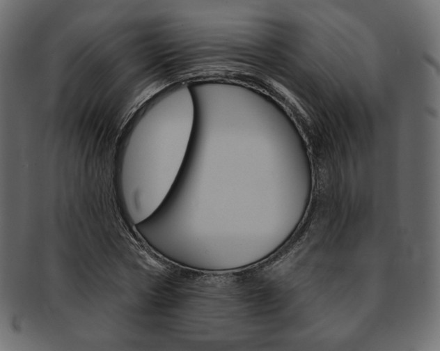 X0000093170778200709261055