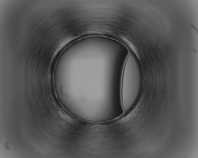 X0000093170779200709261055