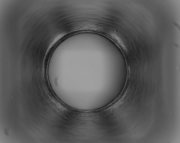 X0000093170780200709261055