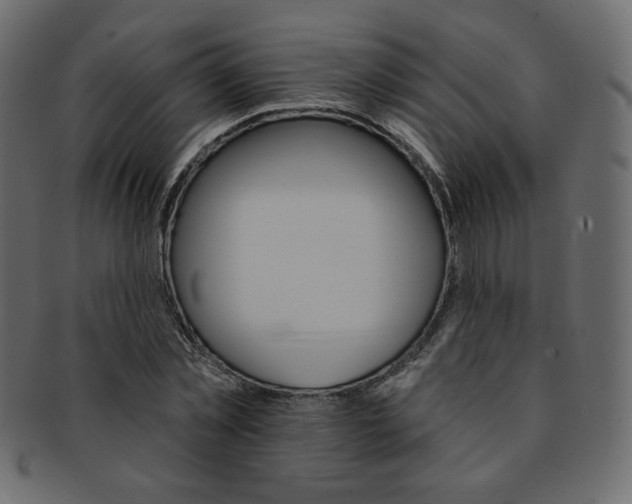 X0000093170781200709261055
