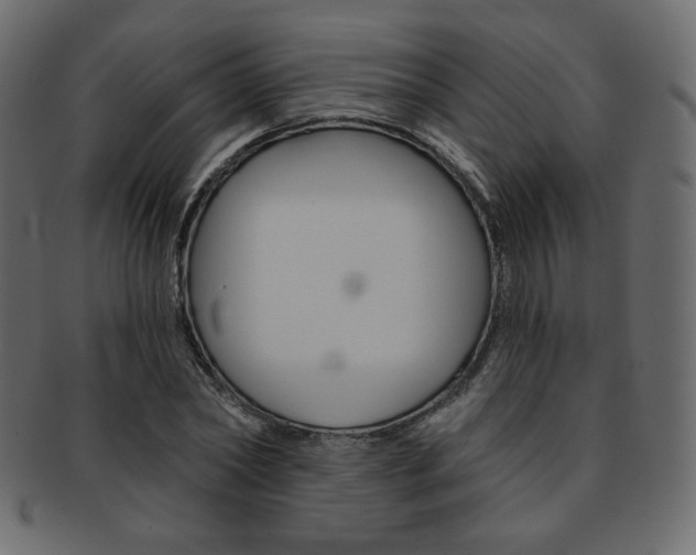 X0000093170782200709261054
