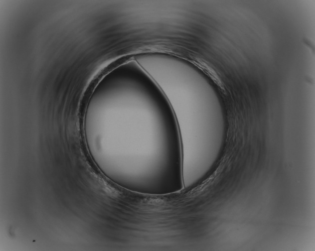 X0000093170784200709261054