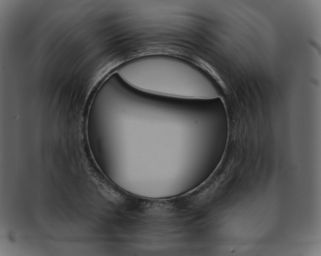 X0000093170786200709261054