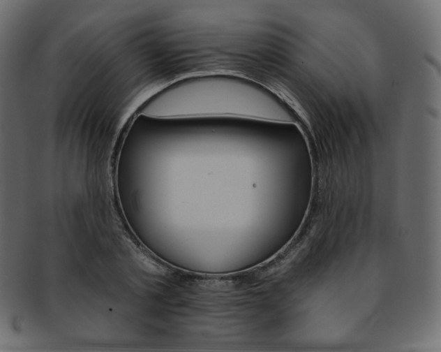 X0000093170789200709261054