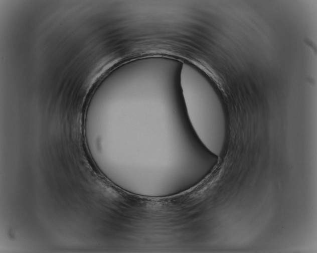 X0000093170790200709261054