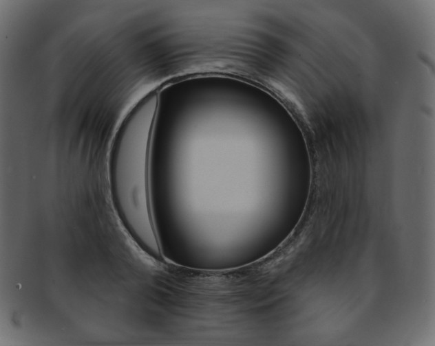 X0000093170792200709261054
