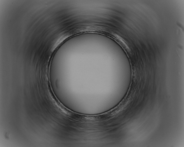 X0000093170794200709261054