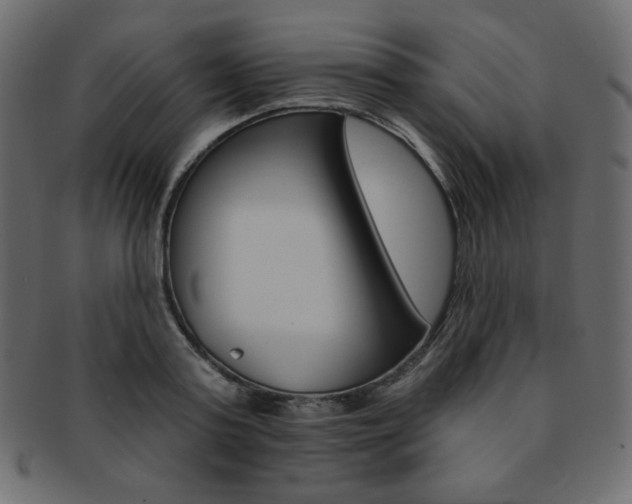 X0000093170795200709261054