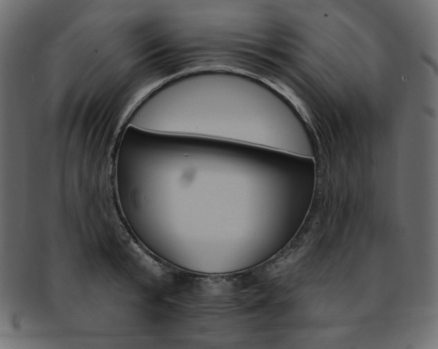 X0000093170799200709261054