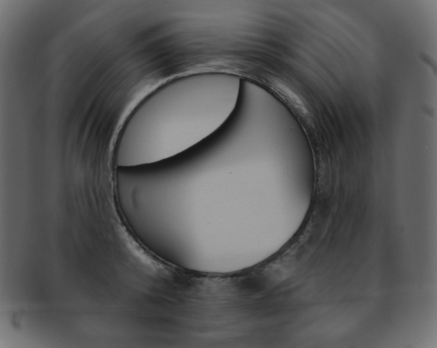 X0000093170800200709261054
