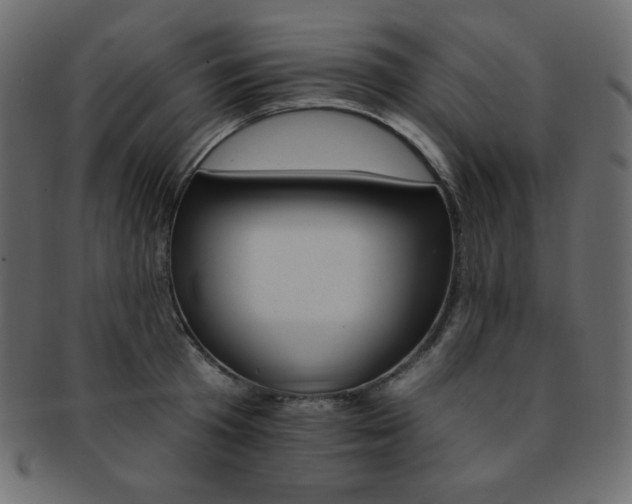 X0000093170801200709261054