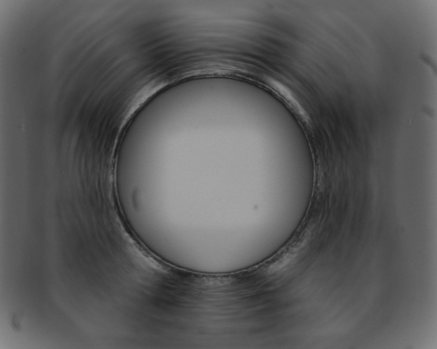 X0000093170802200709261054