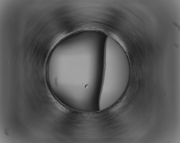 X0000093170803200709261054