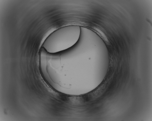X0000093170804200709261054