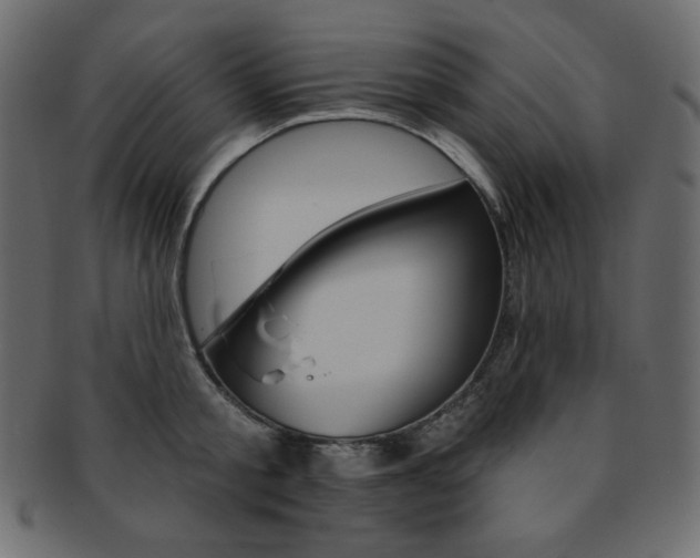 X0000093170805200709261054