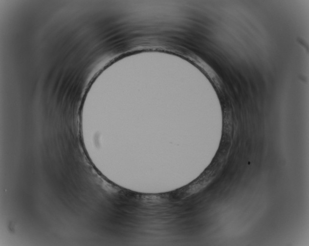 X0000093170807200709261054