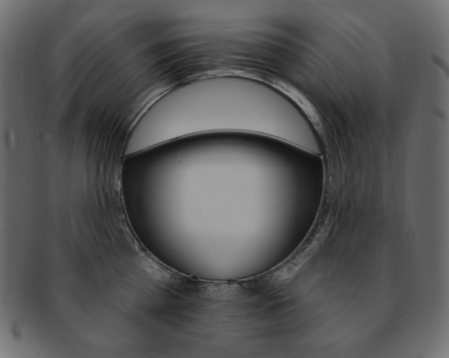 X0000093170809200709261054