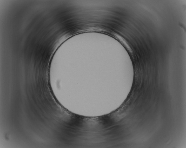 X0000093170810200709261054