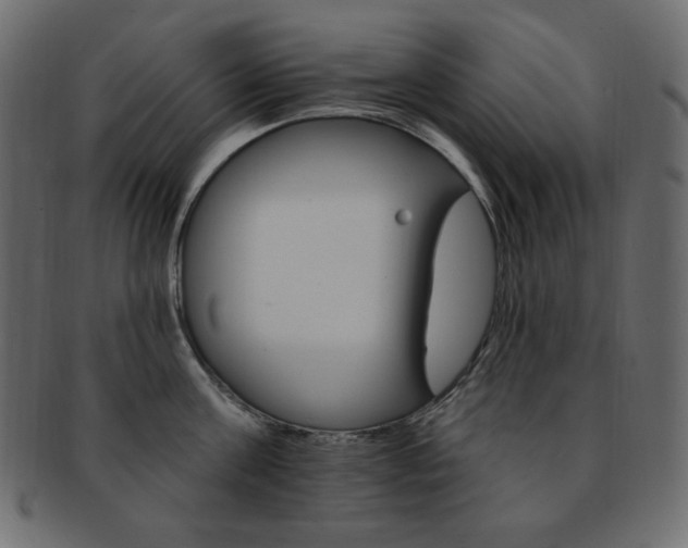 X0000093170811200709261054